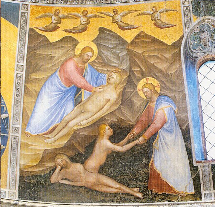 27th Sunday in Ordinary Time – Joining Jesus in Serving